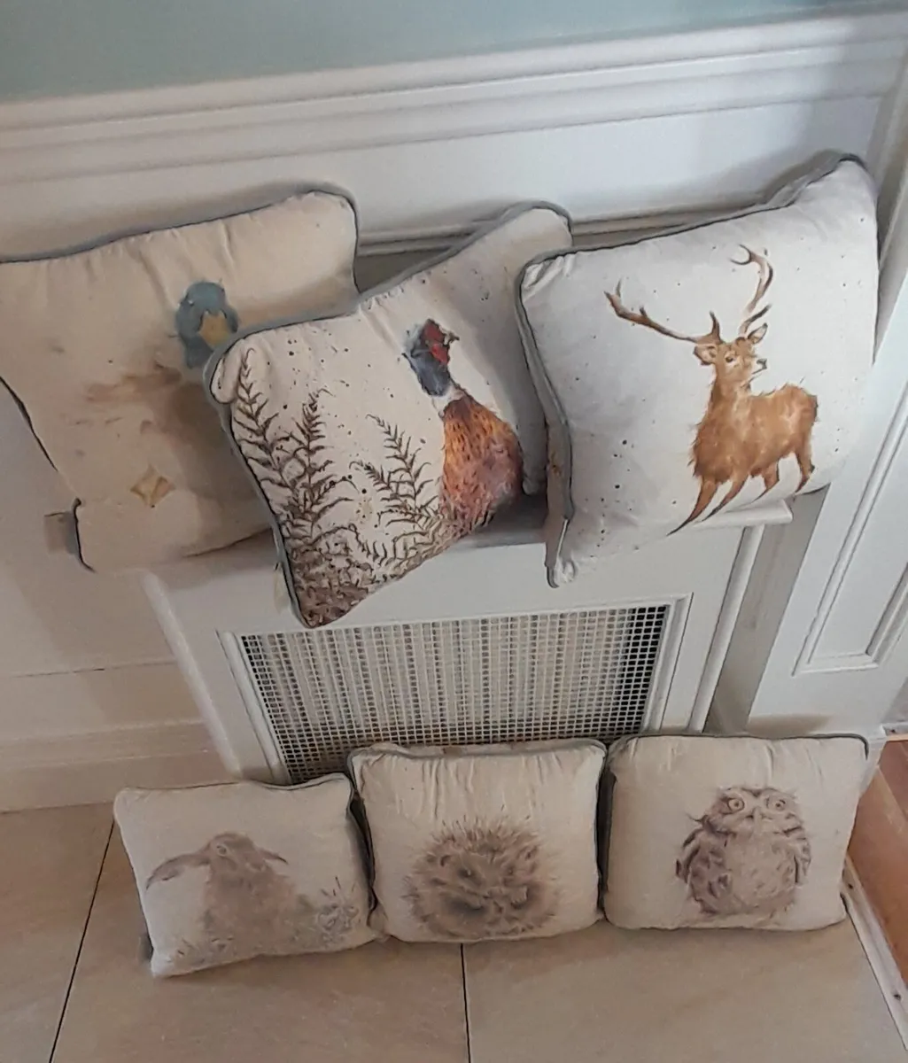 Wrendale Design Cushions - Image 2