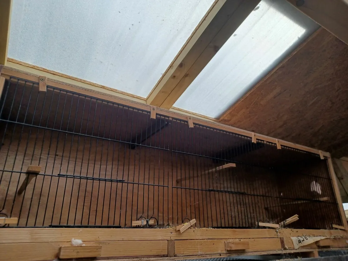 4ft breeding cages .wooden - Image 2
