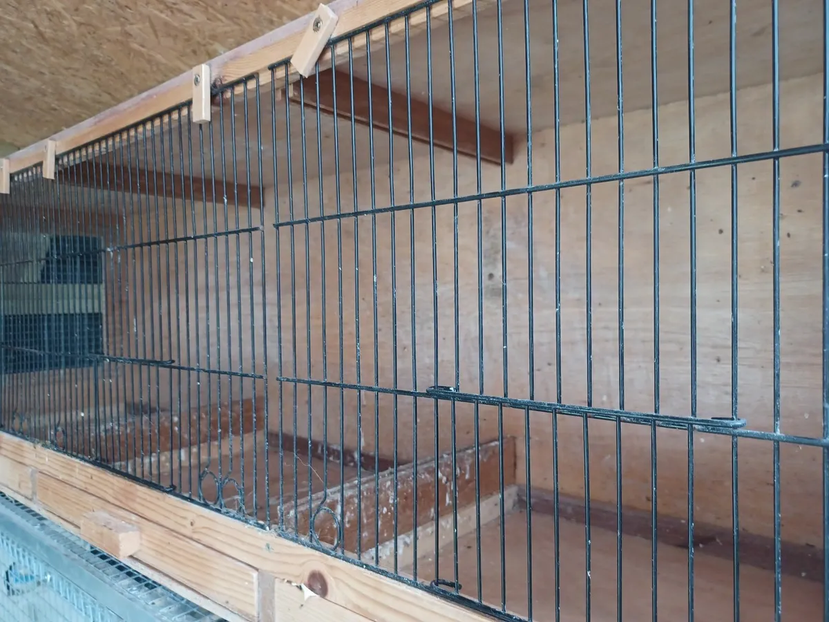 4ft breeding cages .wooden - Image 4