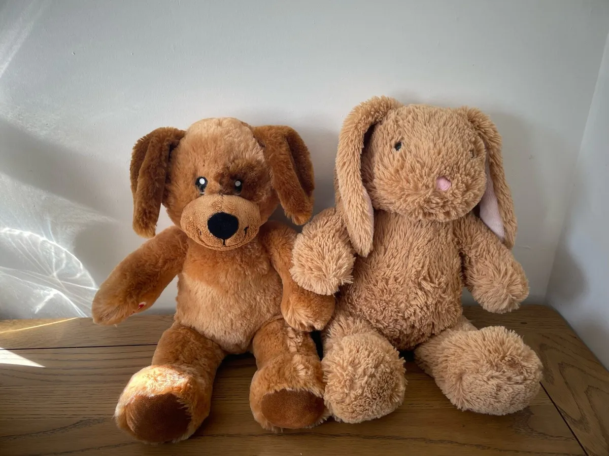 Build a Bear Teddy Duo