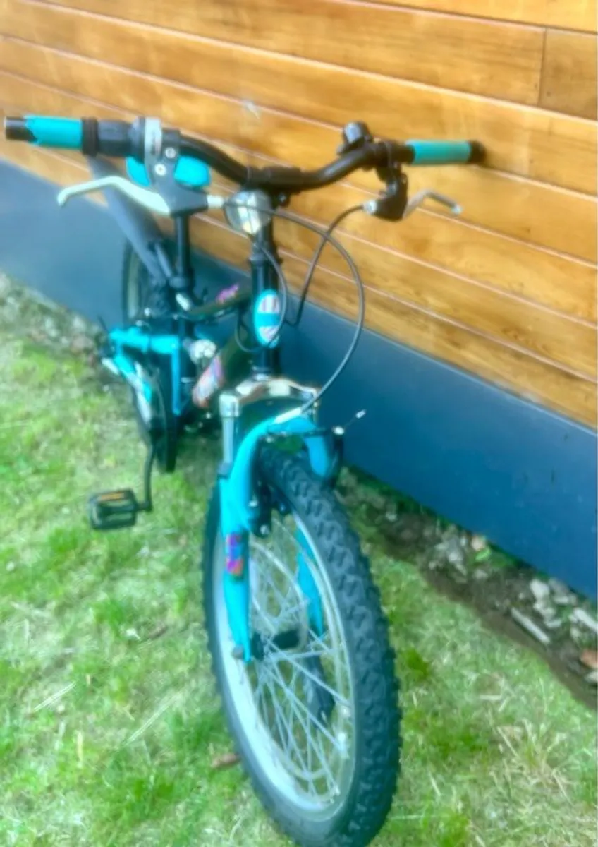 Apollo Charm mountain bike 20 inch wheels - Image 2
