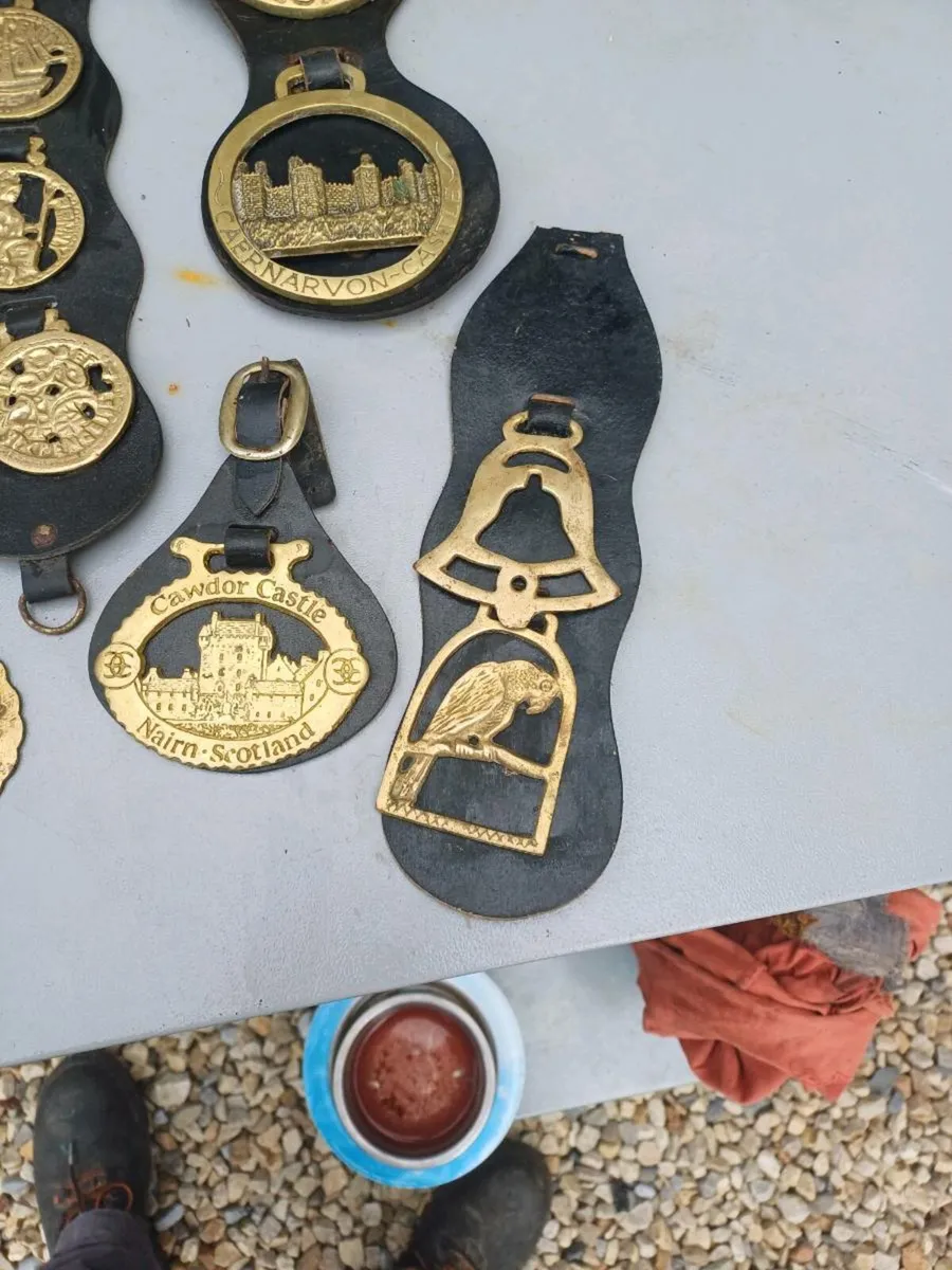 Collection of Antique Horse Brasses - Image 4