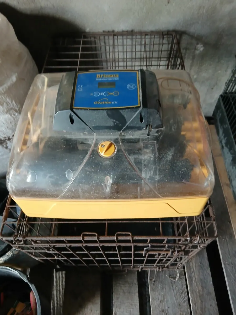 Incubator and Heat Plate - Image 2