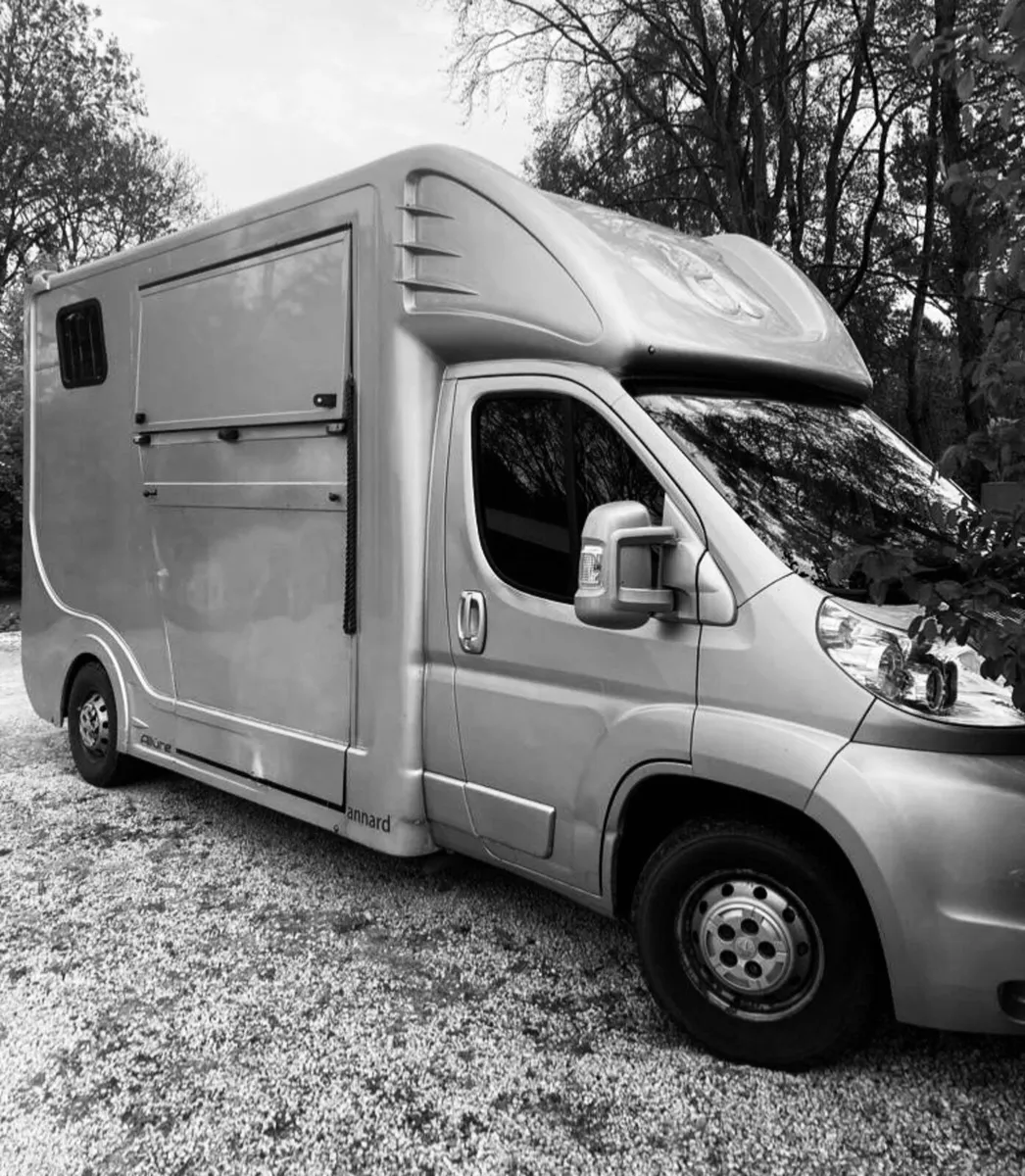 3.5 ton Horse lorry - Image 1