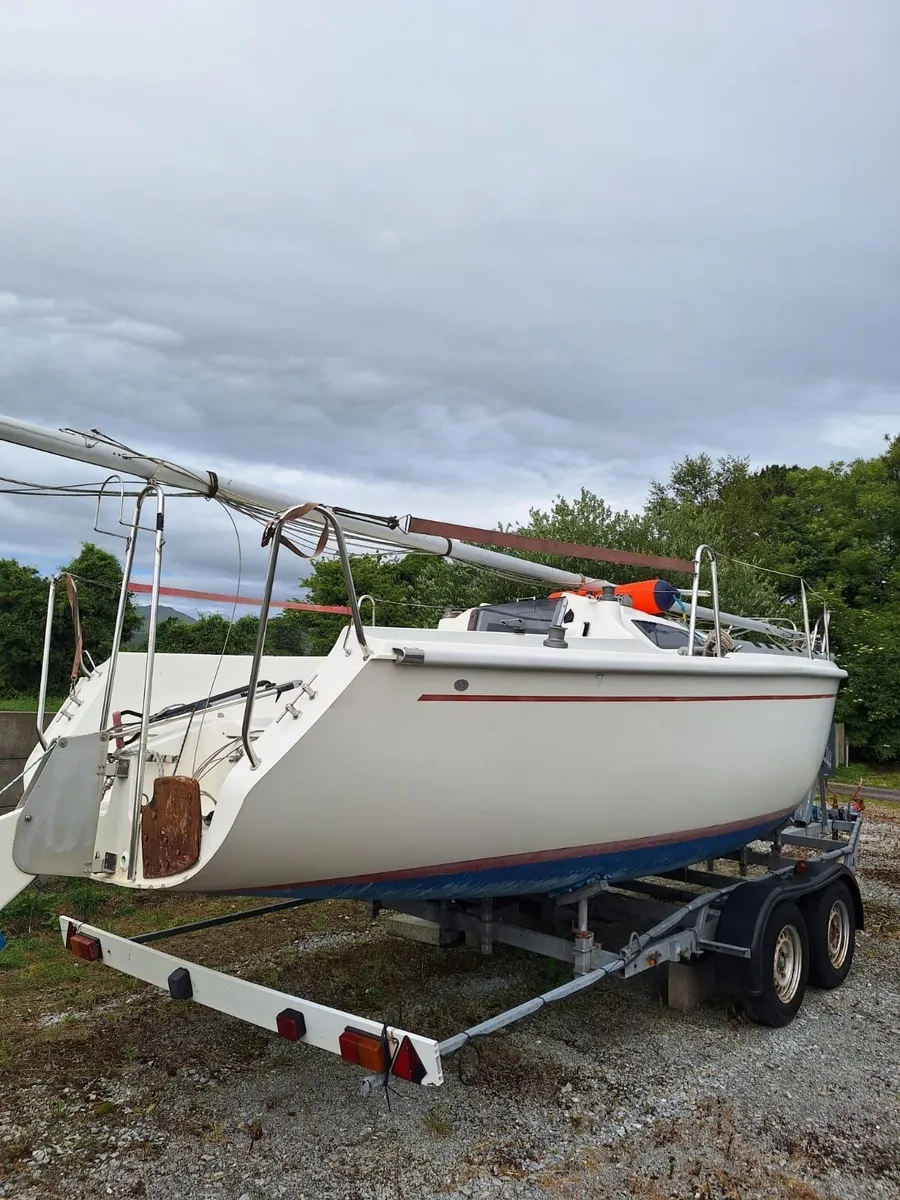 Sportina 680 Delphia - Image 2