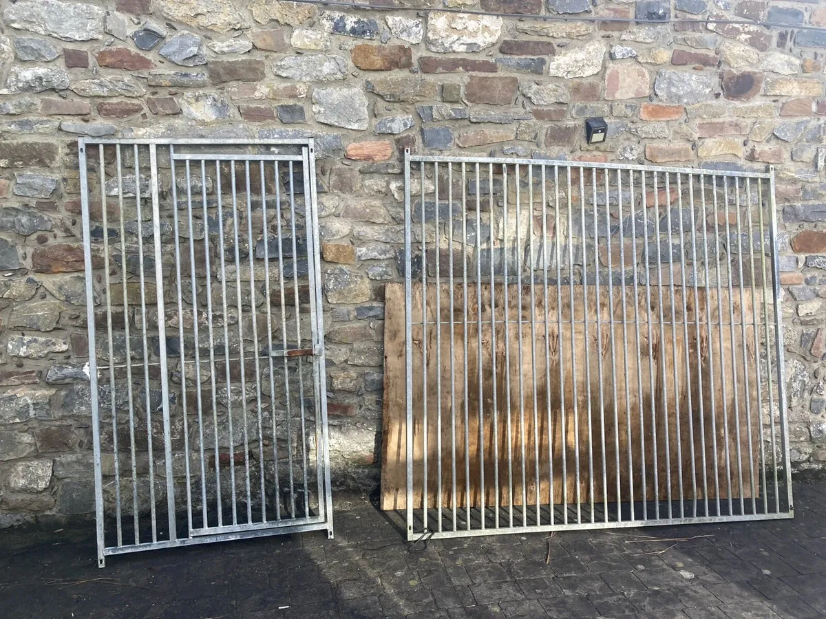 Enclosure for Dog - Image 2