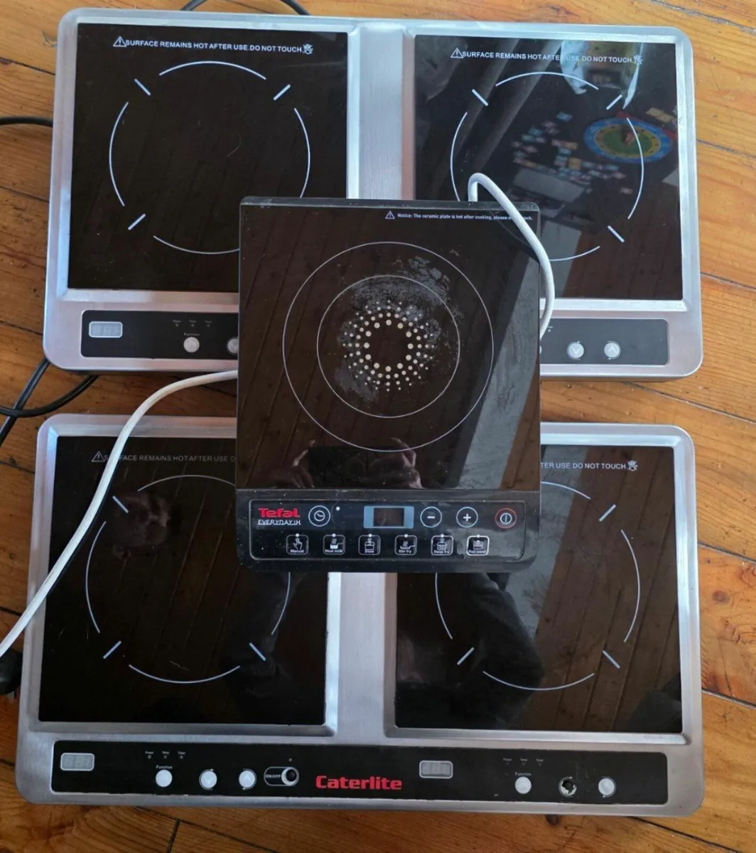 Induction Hob Hire - Double Great for light-duty u - Image 1
