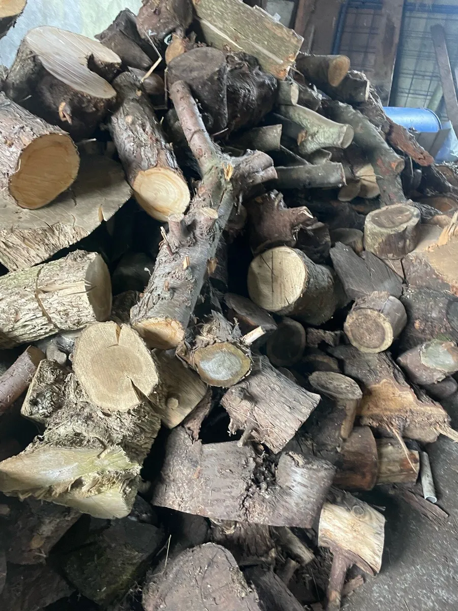 timber for sale - Image 1