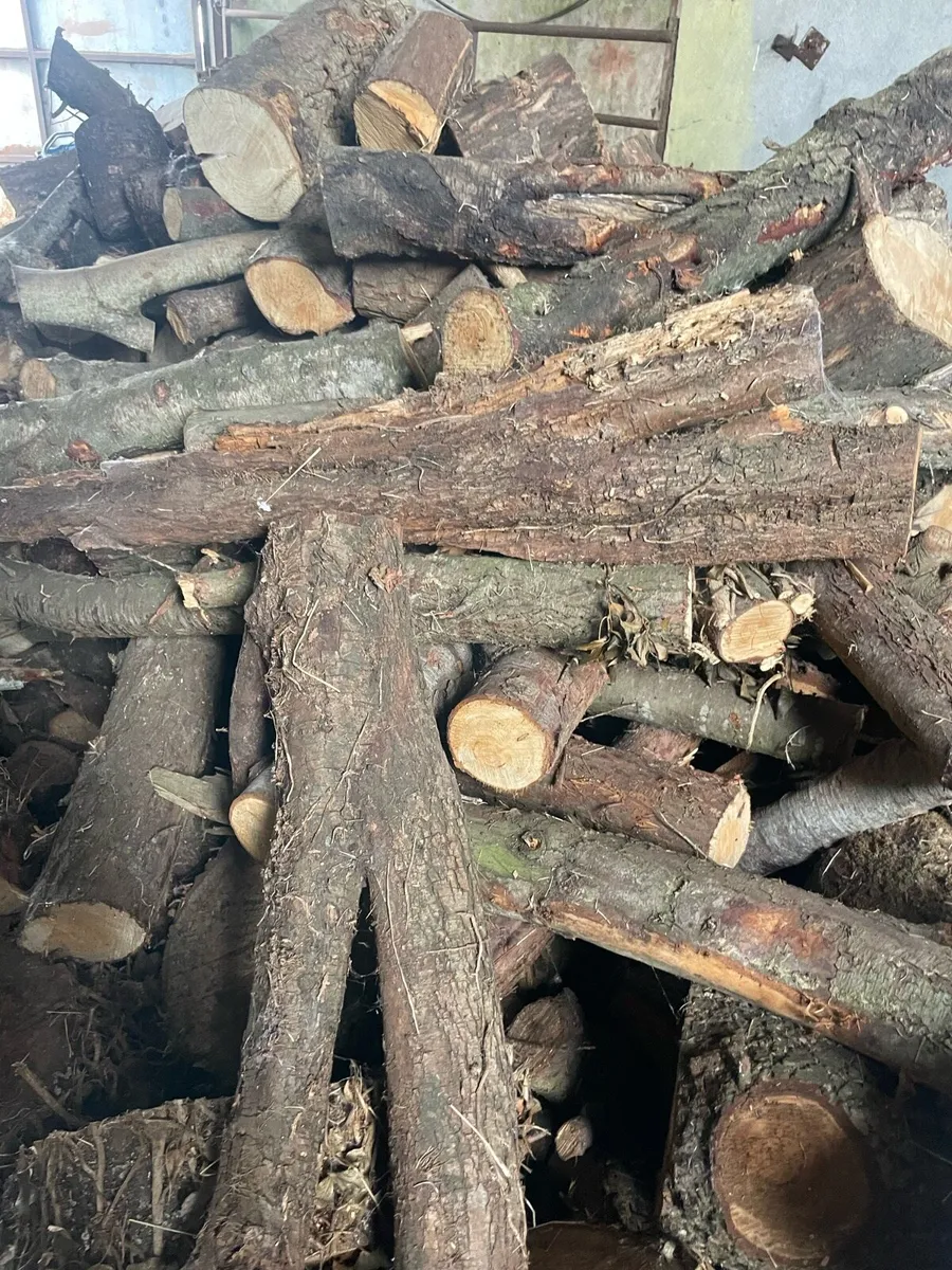 timber for sale - Image 2