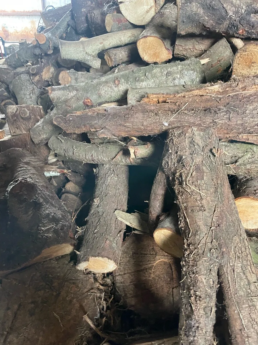 timber for sale - Image 3