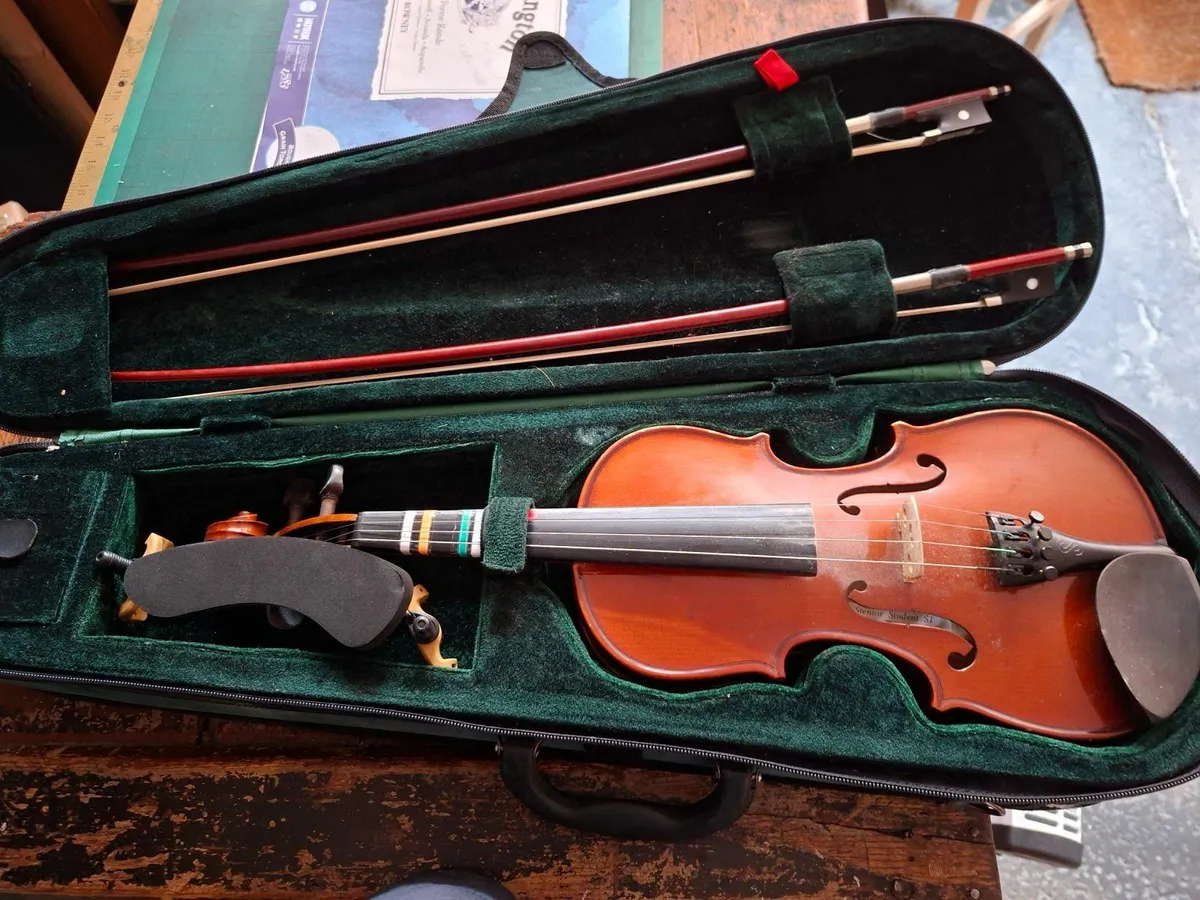 Violin 1/2 Size