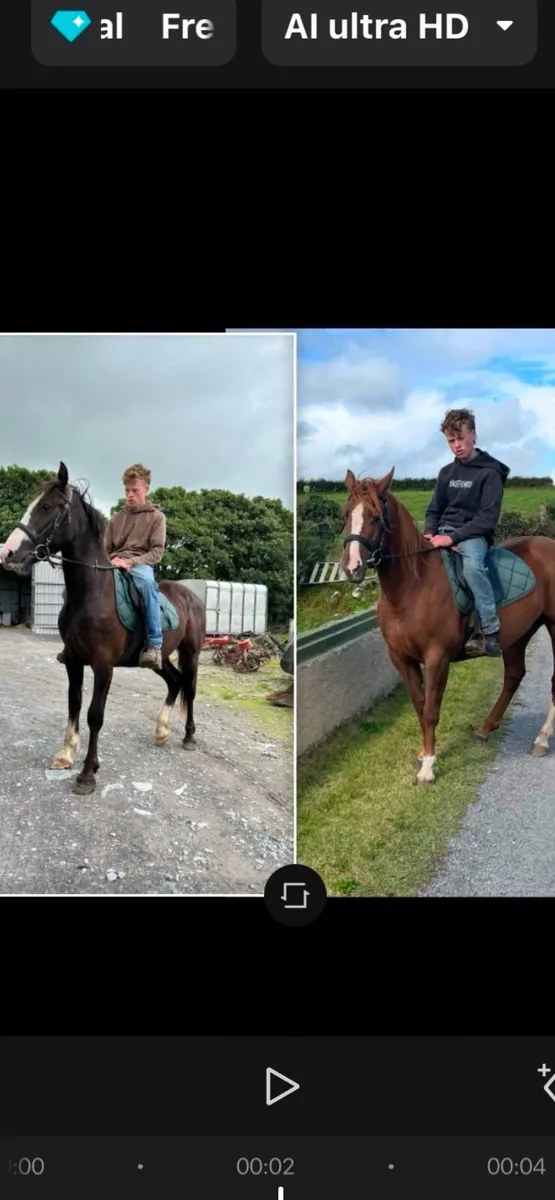 6 year old mare 3 year old gelding - Image 1