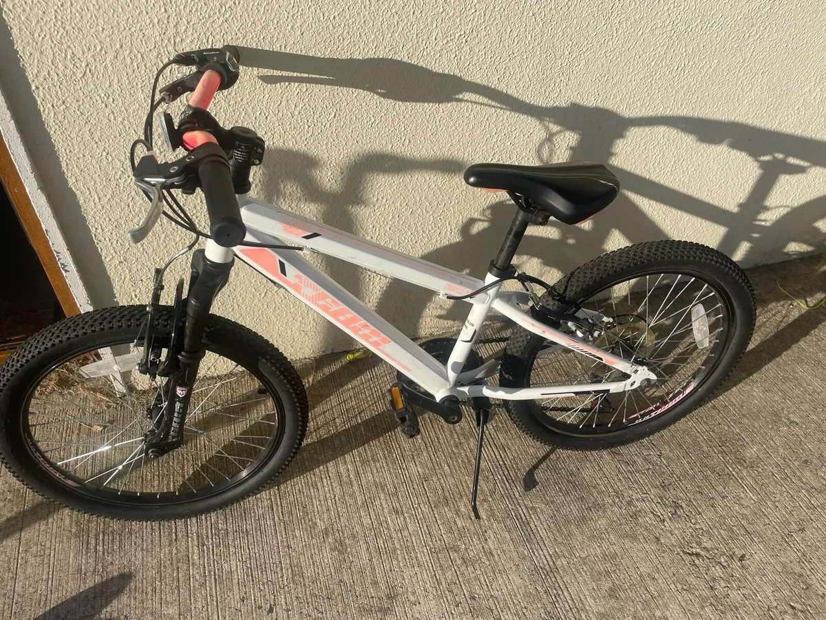Bike and flicker - Image 3