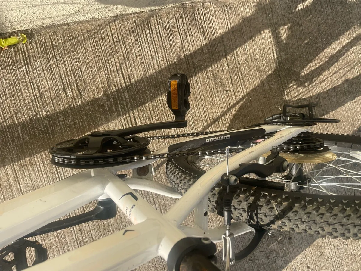 Bike and flicker - Image 4