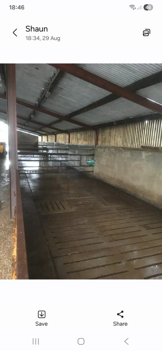 7 Bay Double Slatted Shed - Image 2