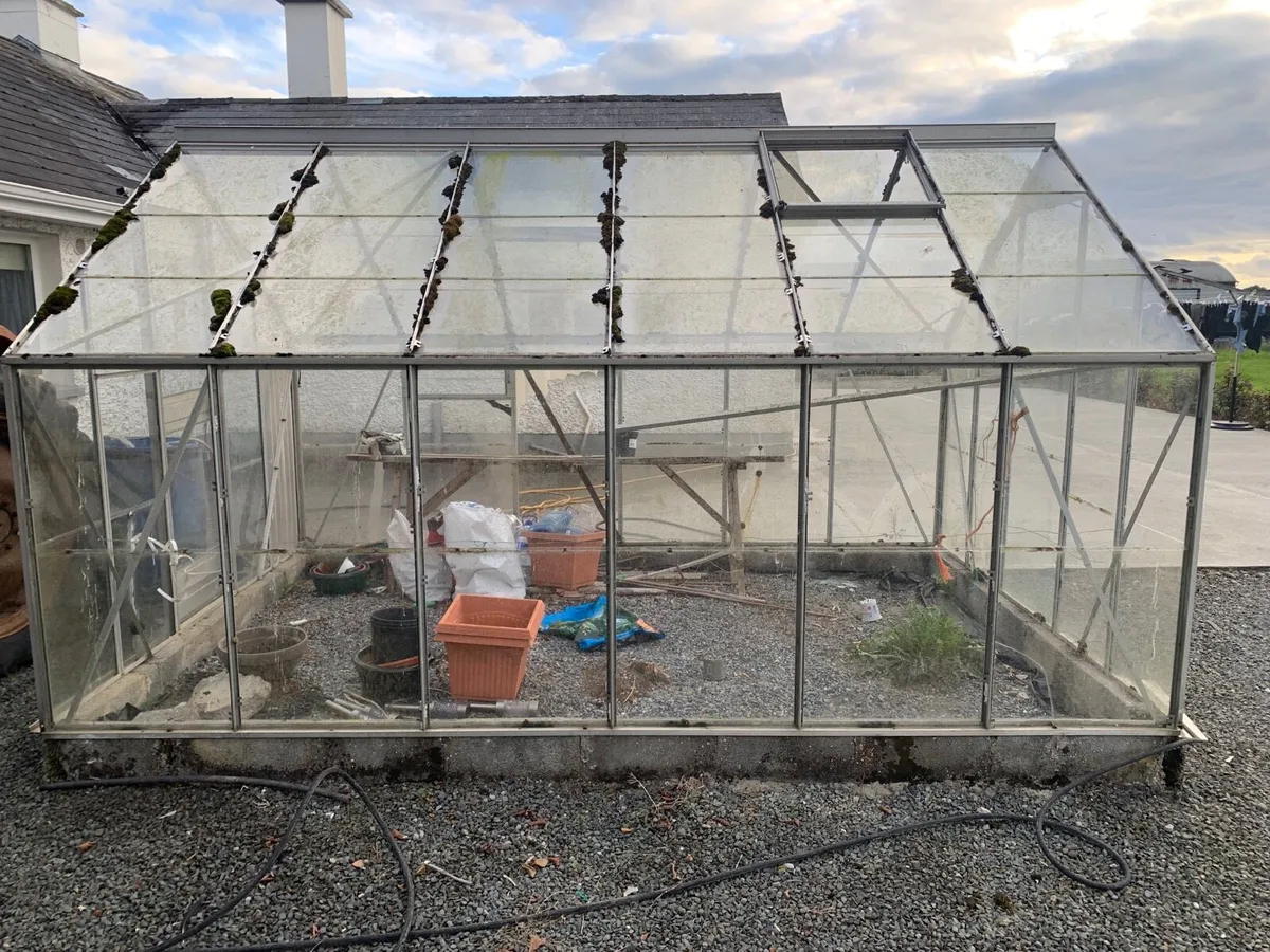 FREE Glasshouse - Image 3