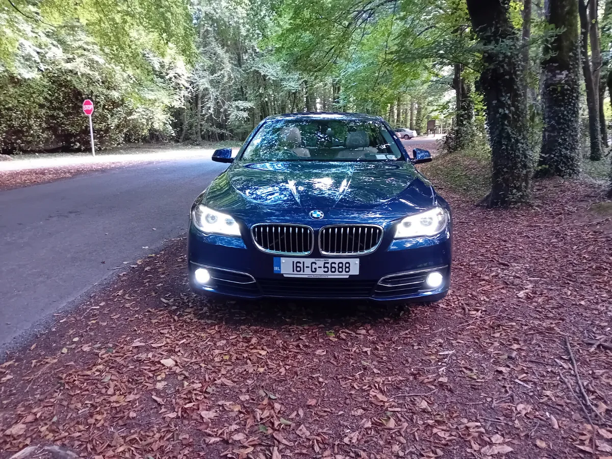 161 BMW 520D LUXURY AUTO SALOON - Image 2