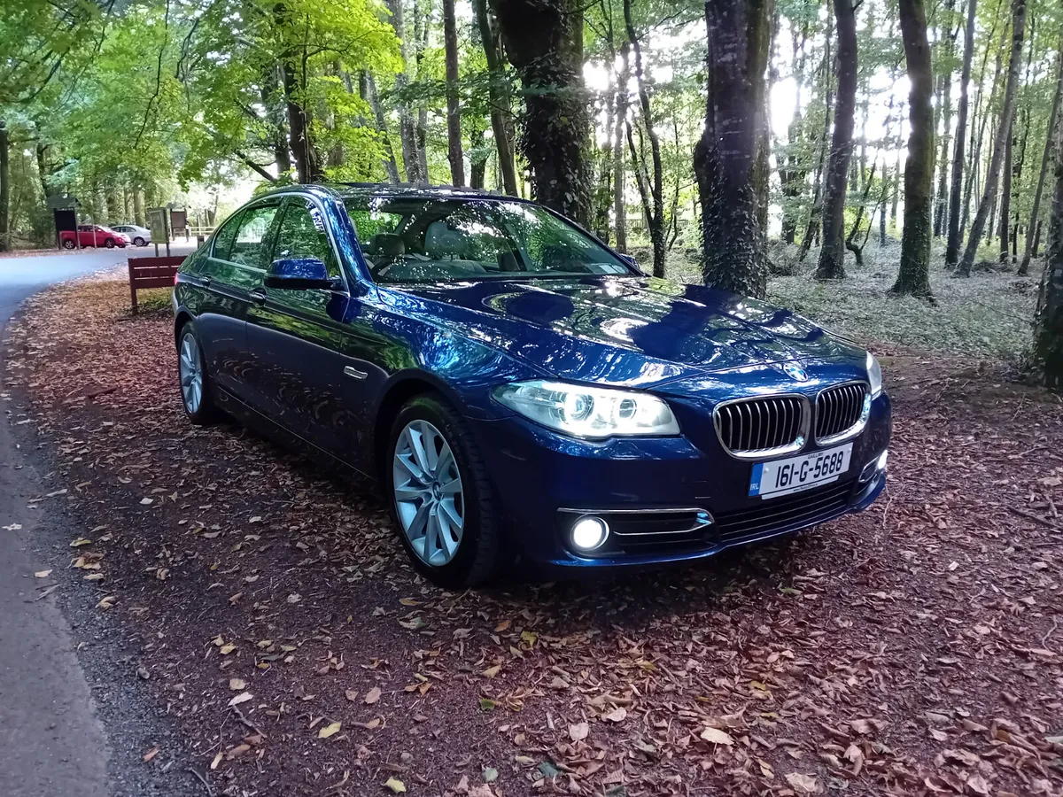 161 BMW 520D LUXURY AUTO SALOON - Image 3