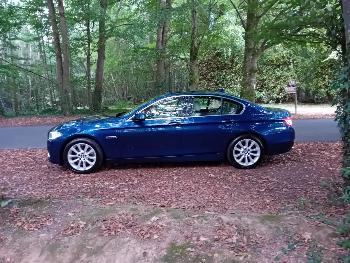 161 BMW 520D LUXURY AUTO SALOON - Image 4