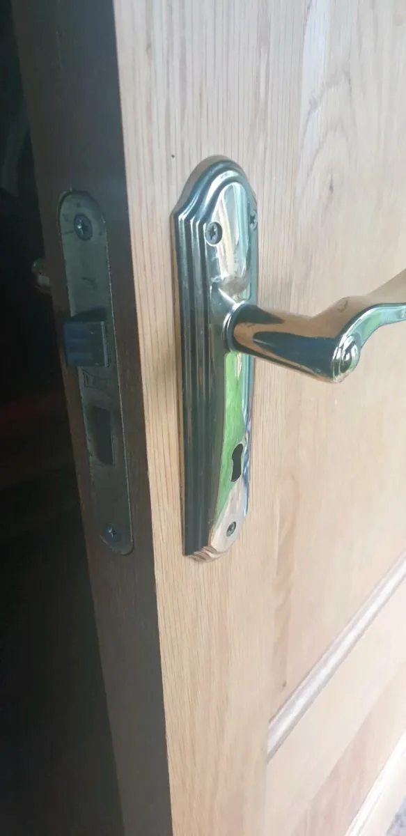 Doors - Image 4