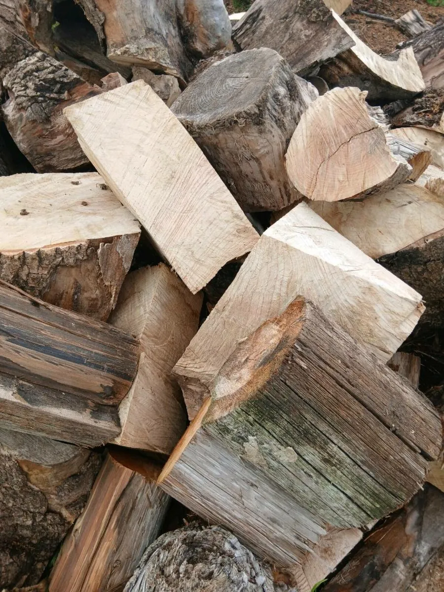 Hardwood for sale - Image 2