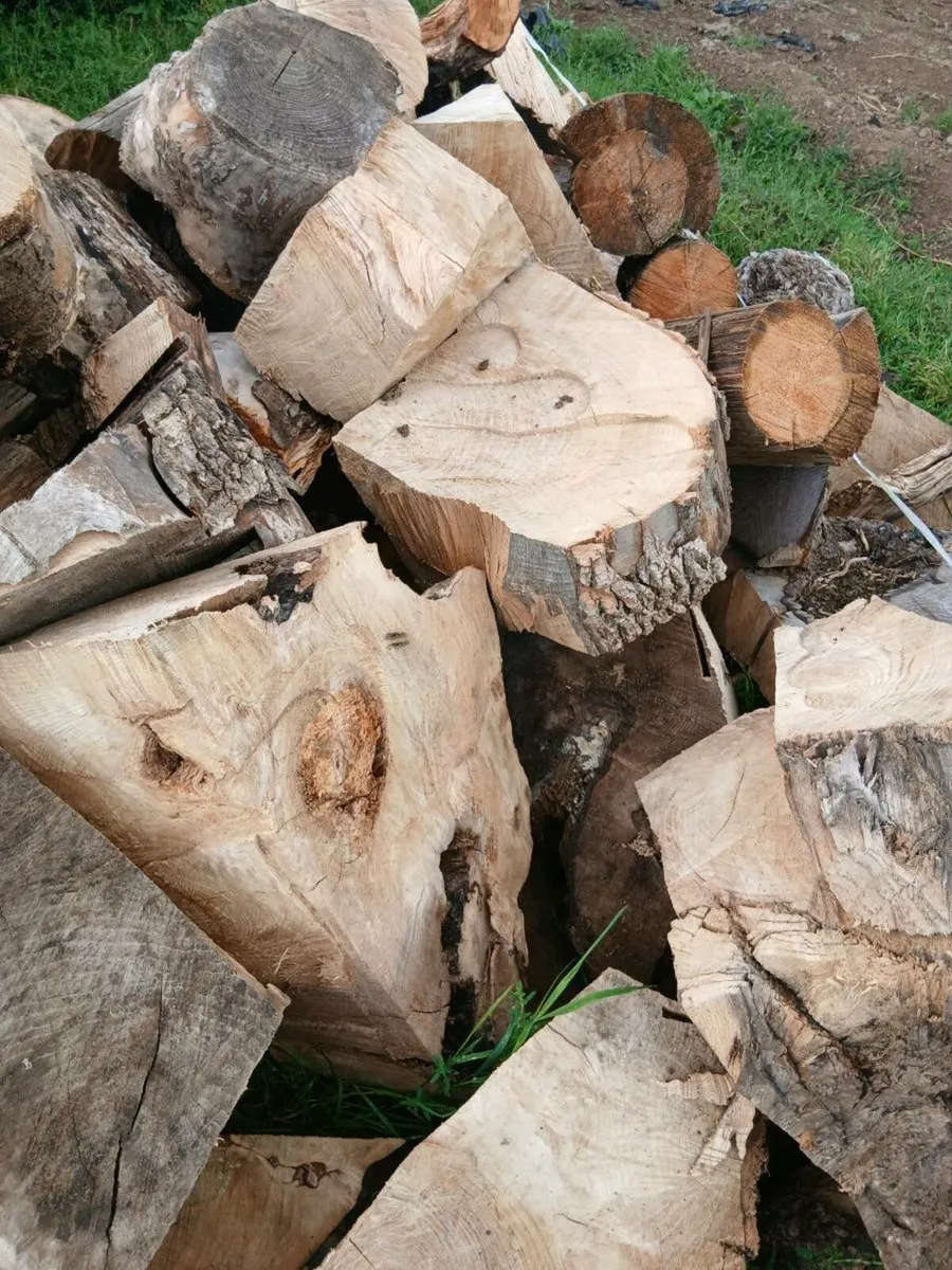 Hardwood for sale - Image 4