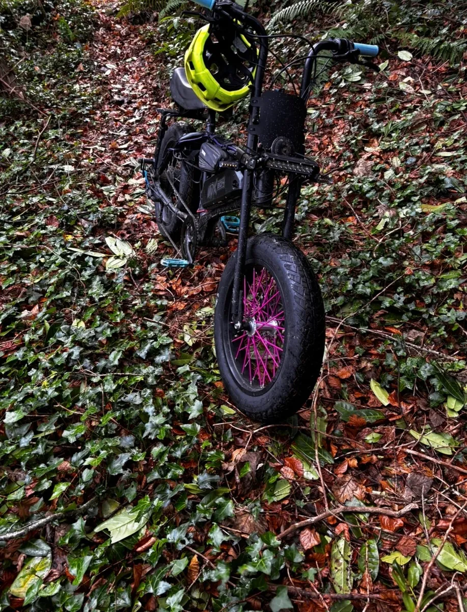 Ebike - Image 1