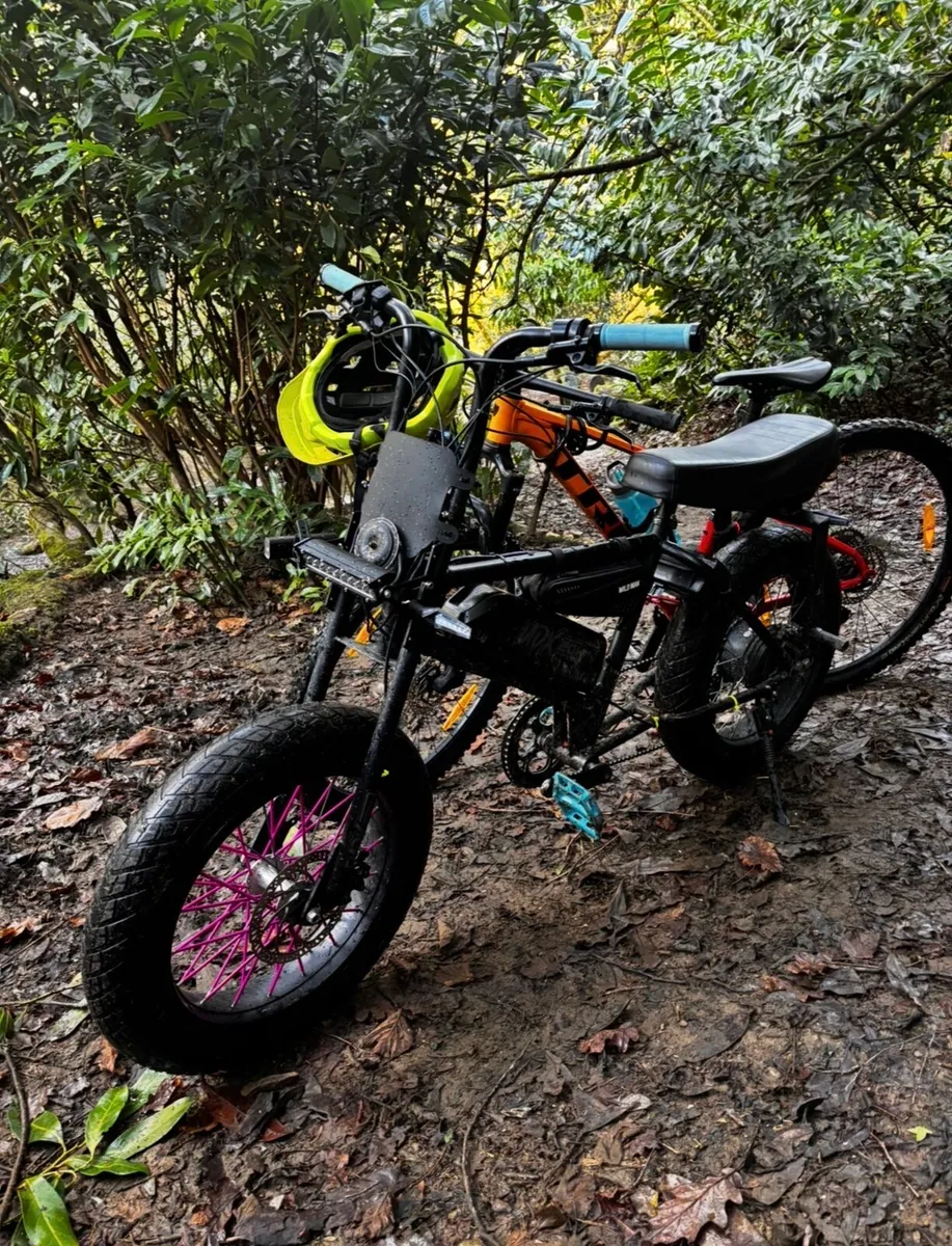 Ebike - Image 2