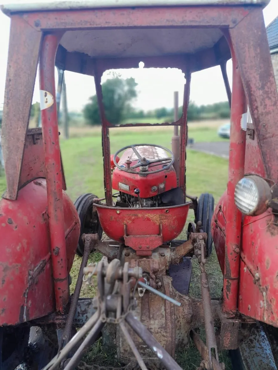 Massey Ferguson 35 and Ferguson Grabber - Image 2