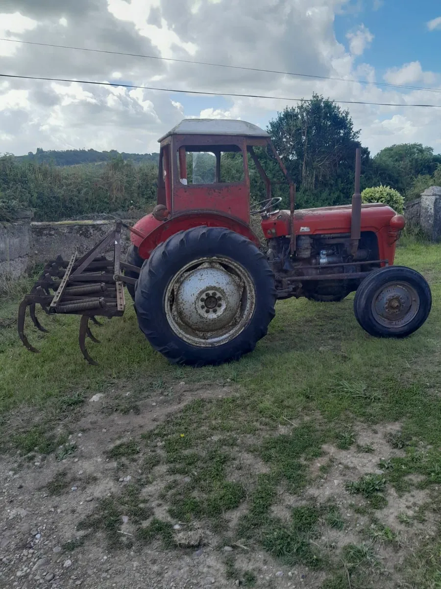 Massey Ferguson 35 and Ferguson Grabber - Image 4