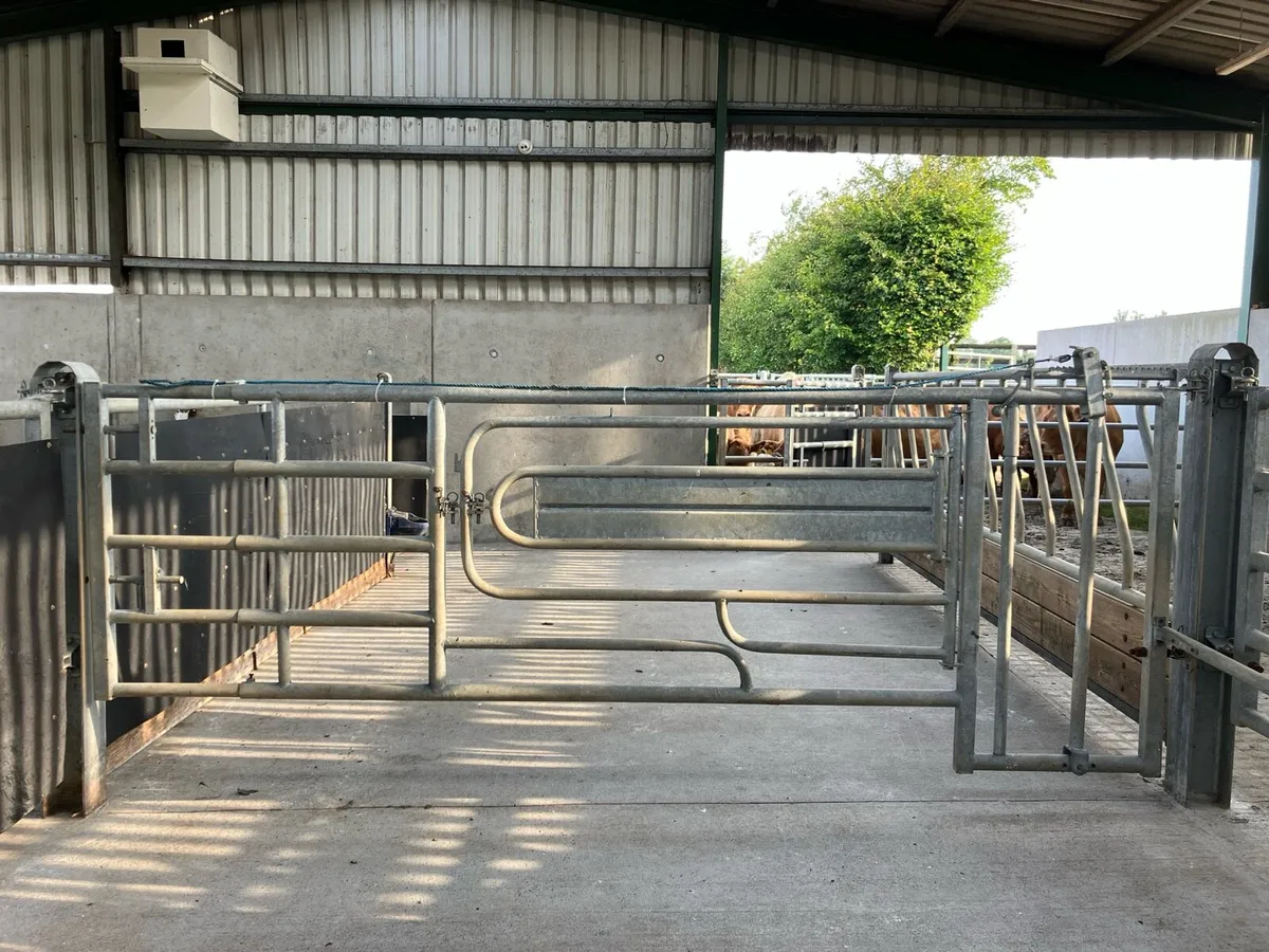 Calving Gate - Image 1