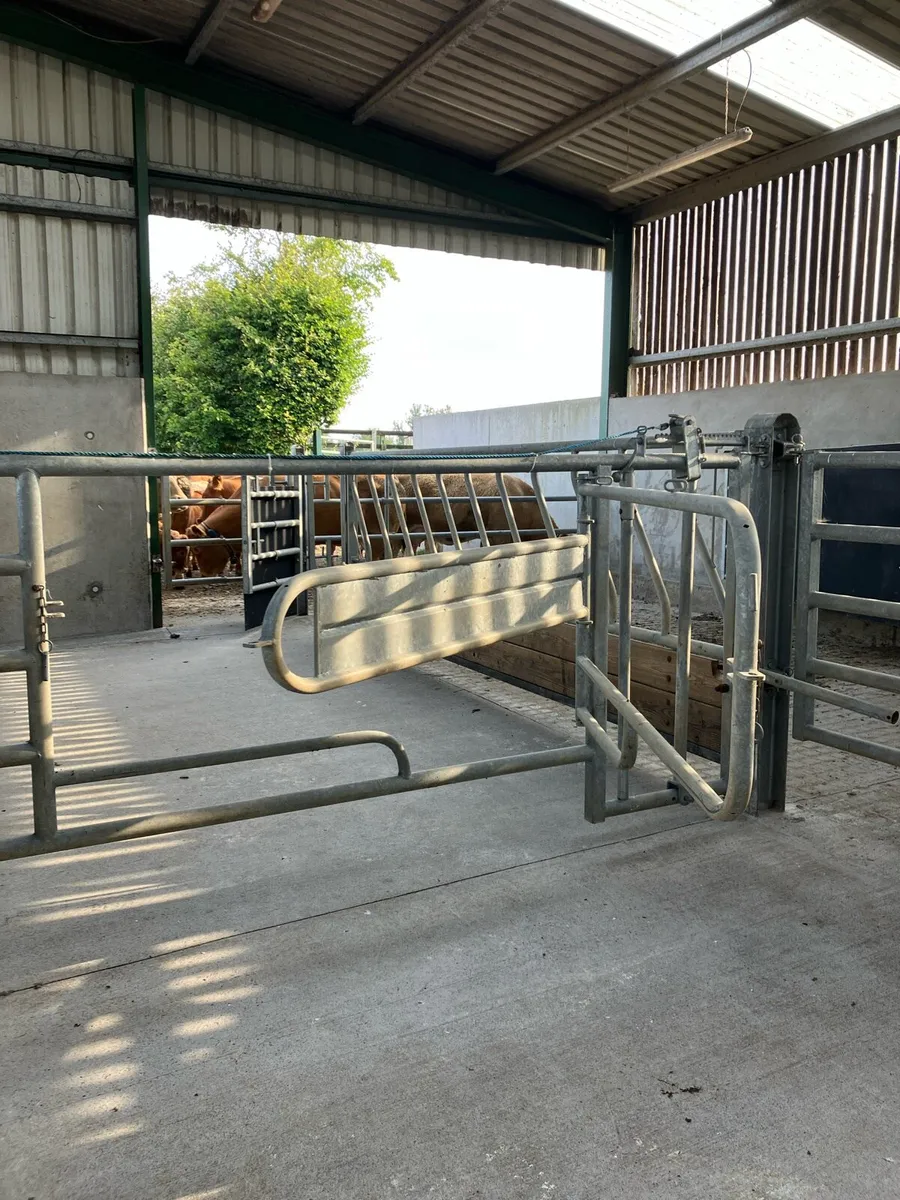 Calving Gate - Image 2