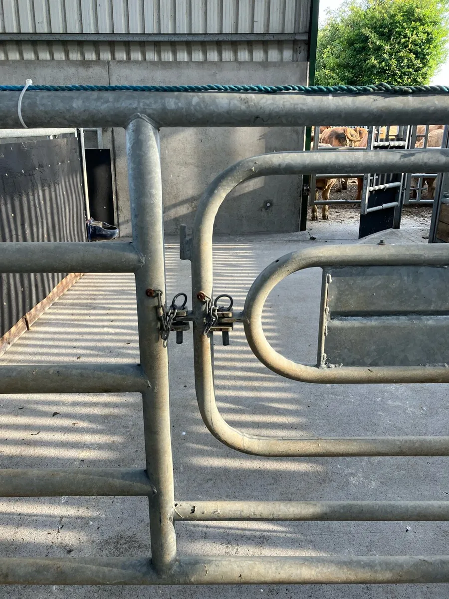 Calving Gate - Image 4