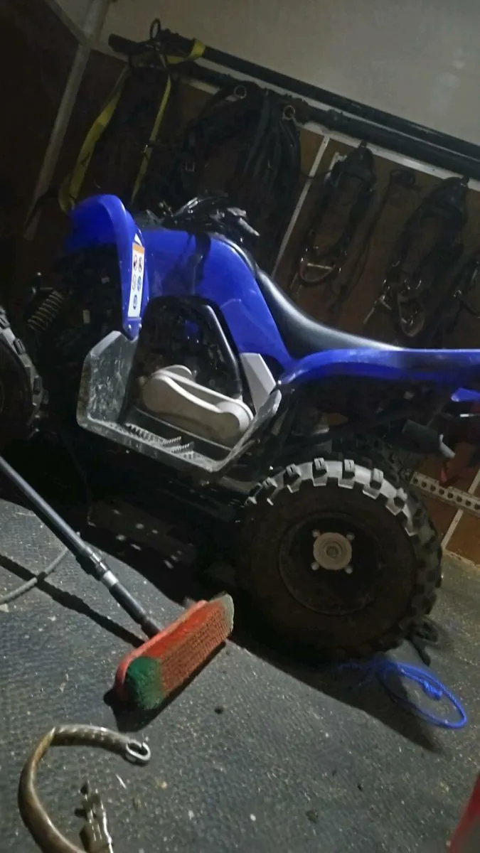 Yamaha YLM 110 - Image 1