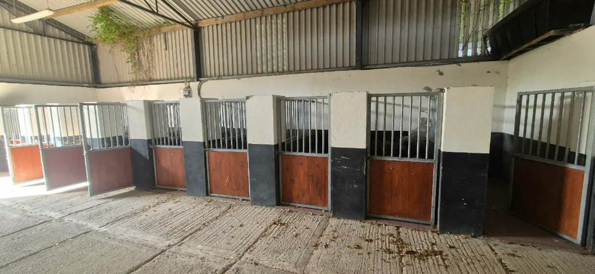 Gates/door - Image 1