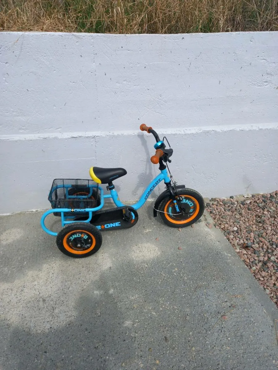 Childs trike - Image 1