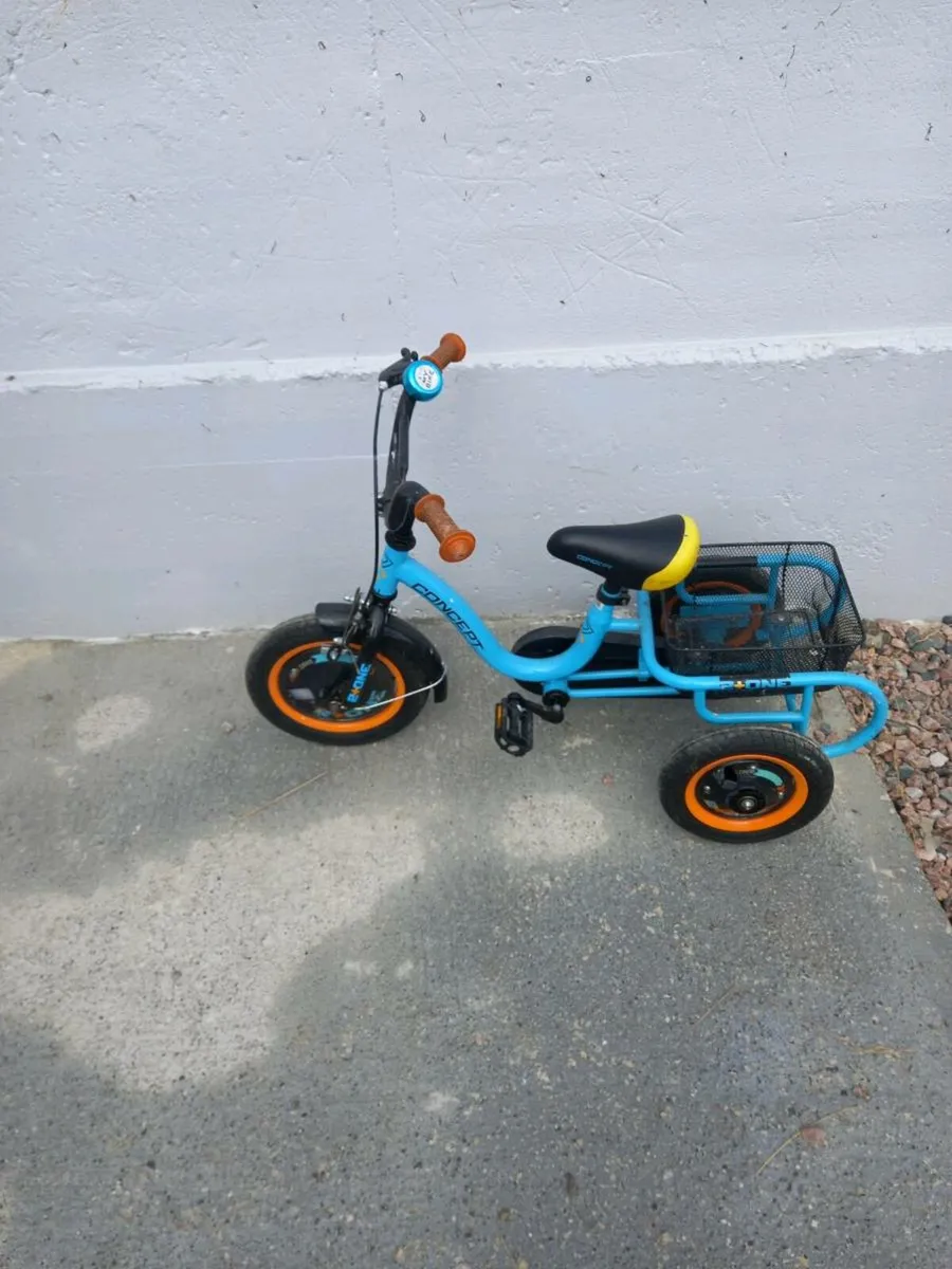 Childs trike - Image 3