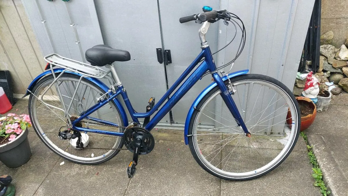 Raleigh Pioneer Ladies Step Through Bike - Image 1