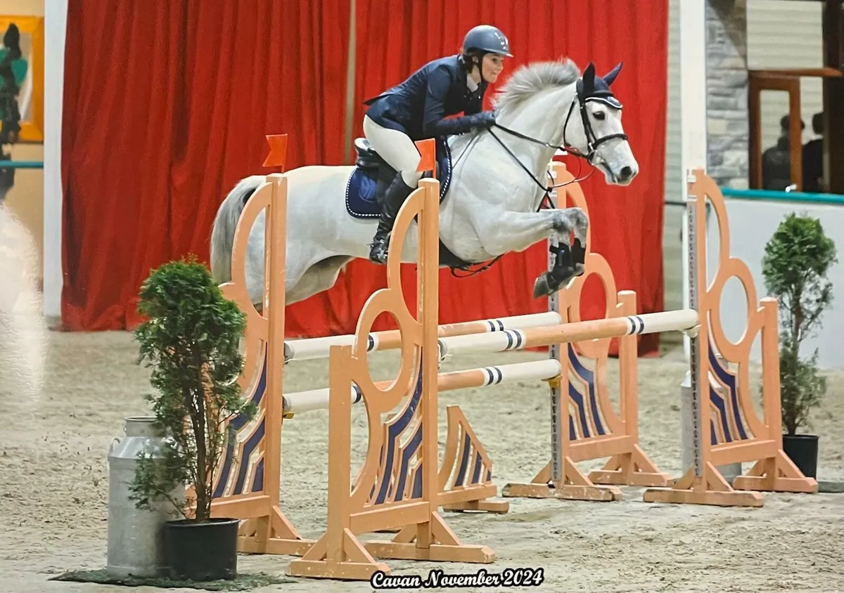 148 Jumping pony - Image 1