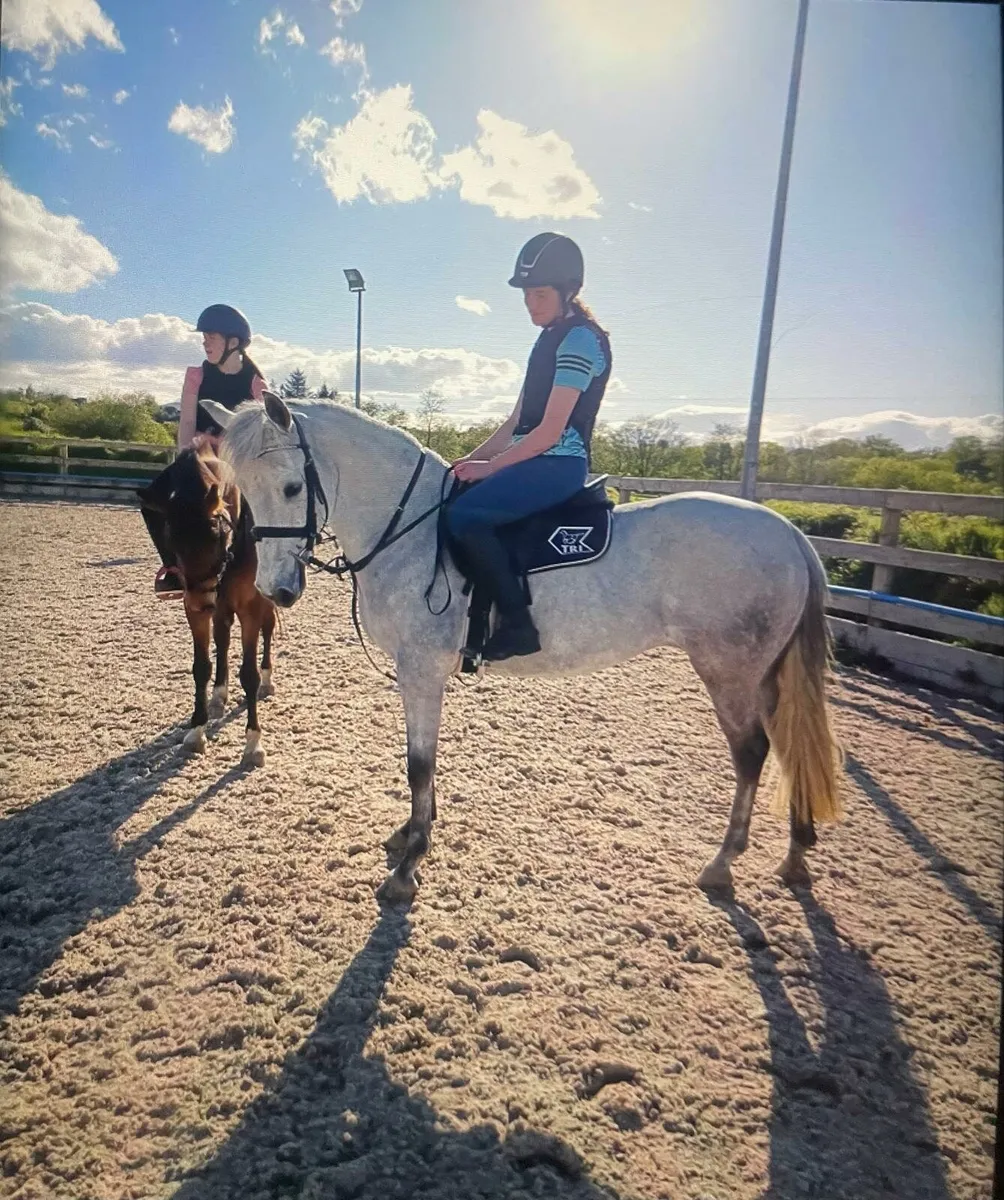 148 Jumping pony - Image 2