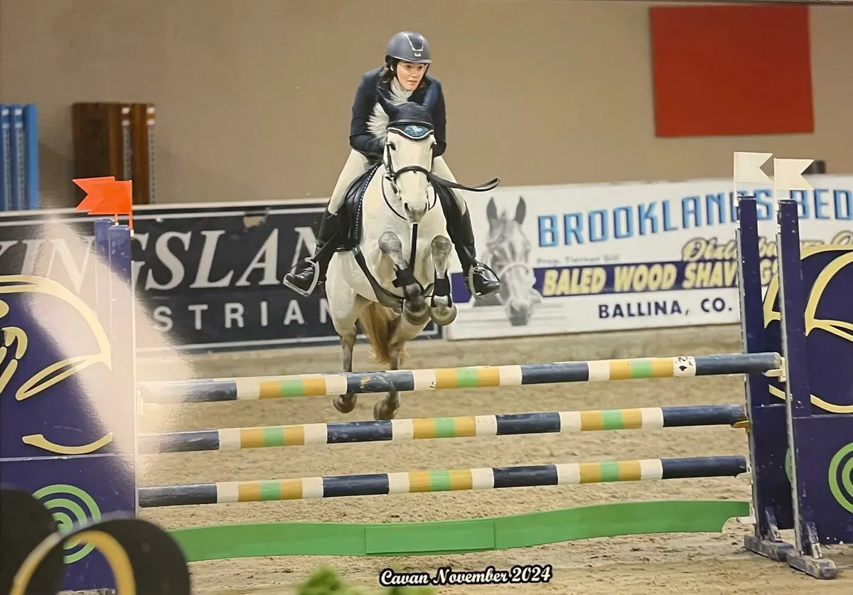 148 Jumping pony - Image 3