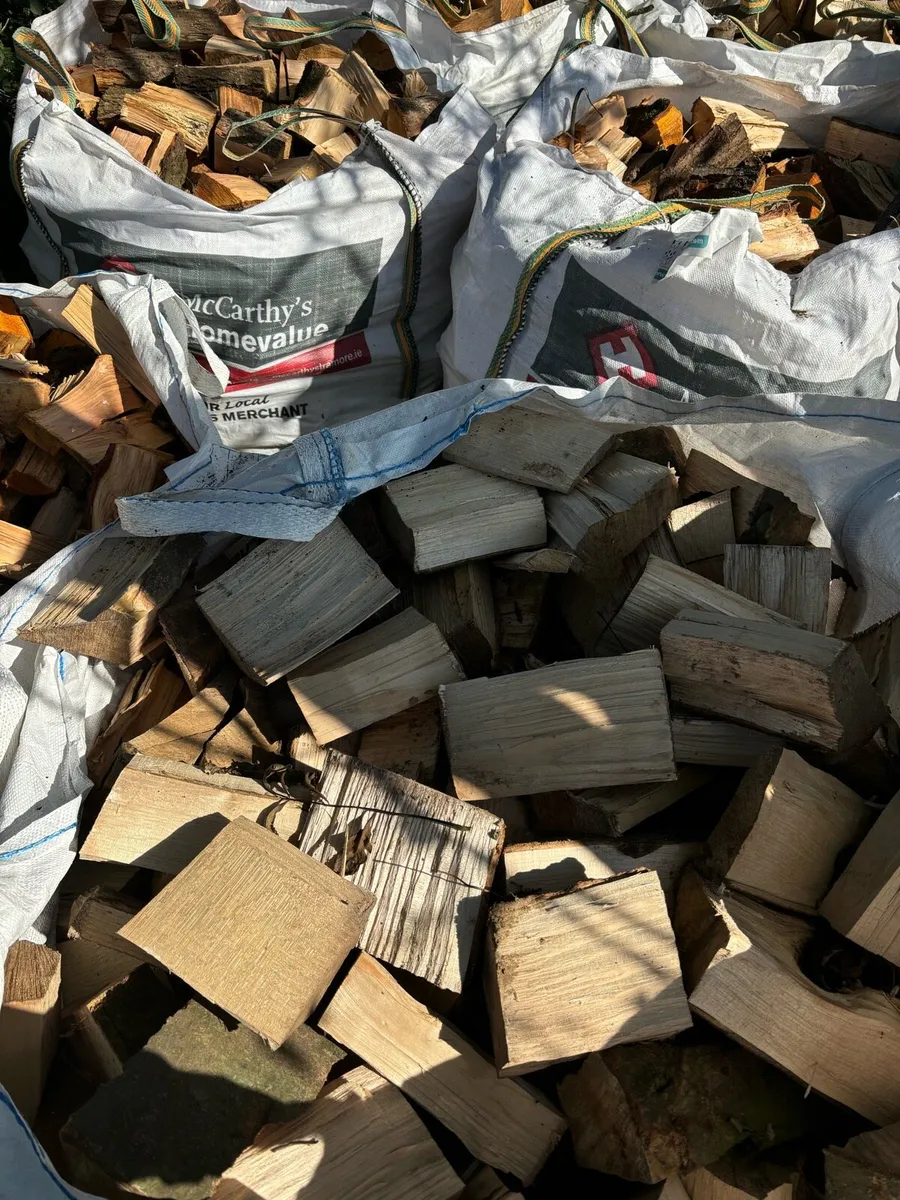 Firewood - Image 3