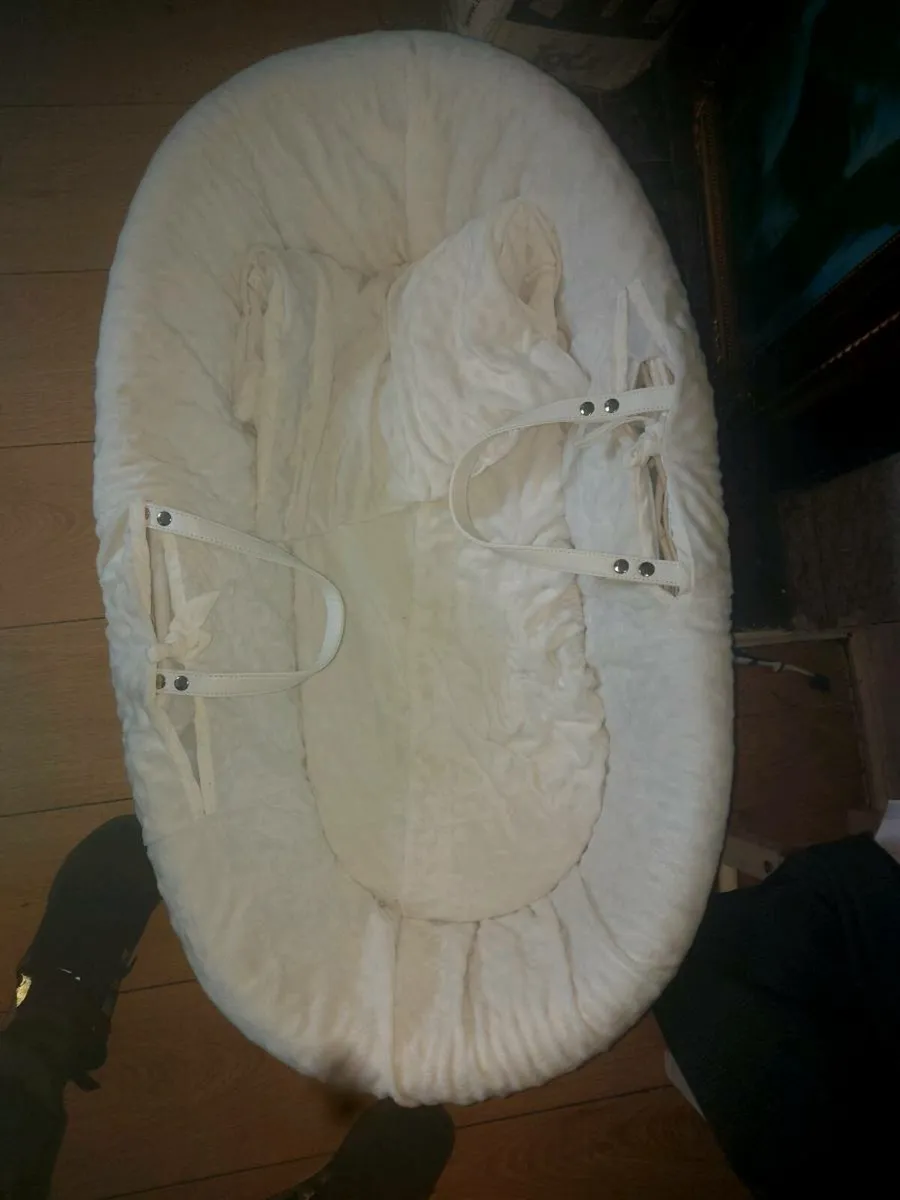 Winnie the pooh moses basket /claire de lune moses - Image 4