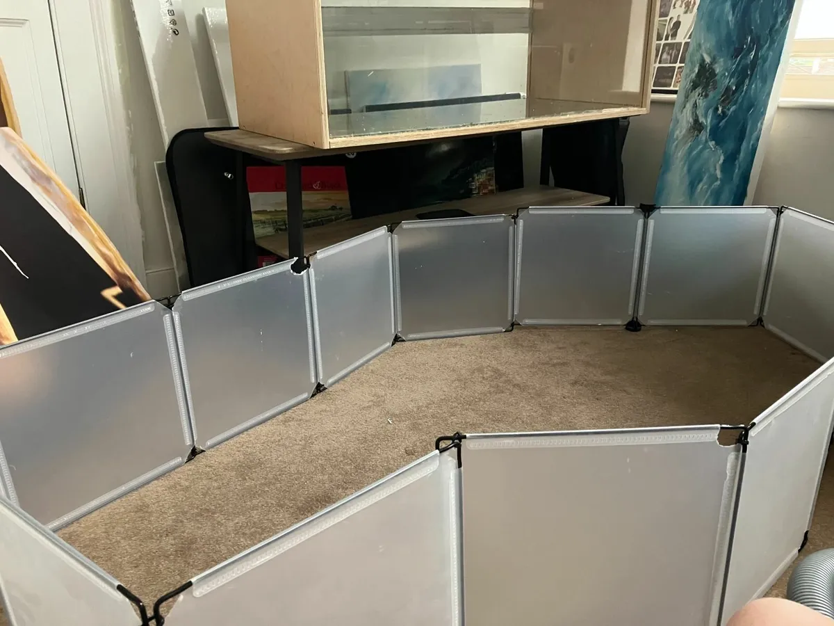 Gerbil cage plus accessories - Image 2