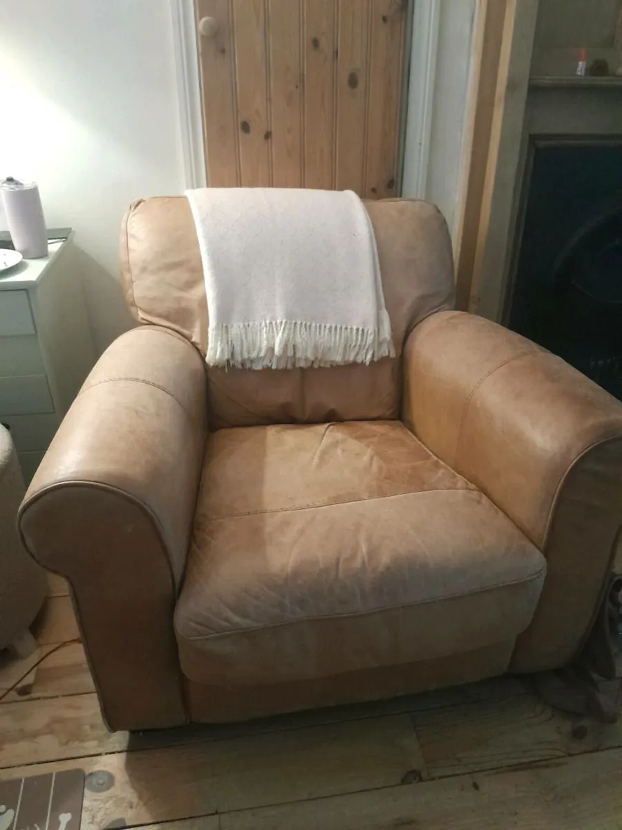 Extorp 2 seater couch and tan arm chair - Image 2