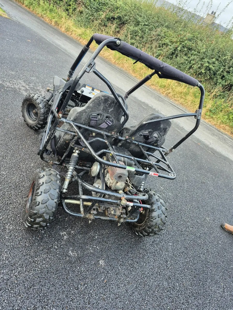 Quadzilla Stingray 210 - Image 2