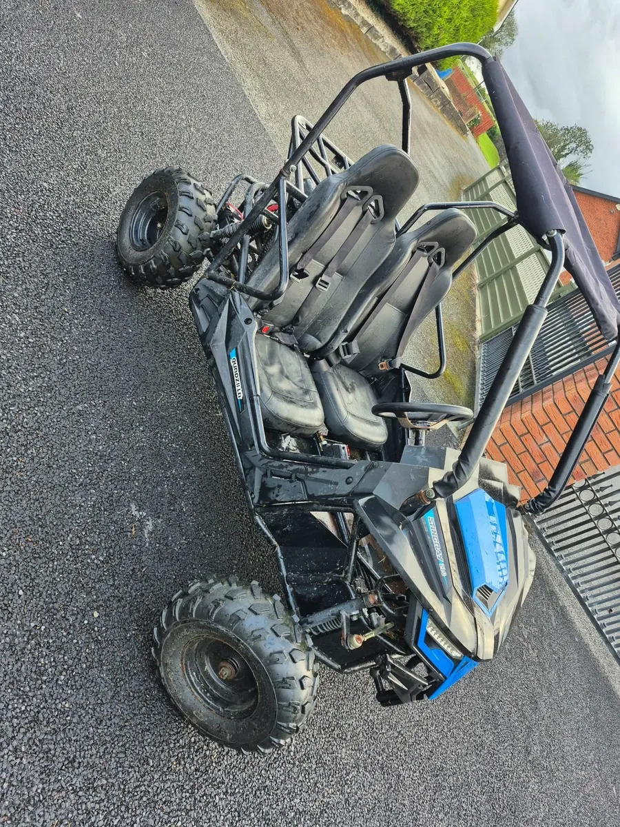 Quadzilla Stingray 210 - Image 3