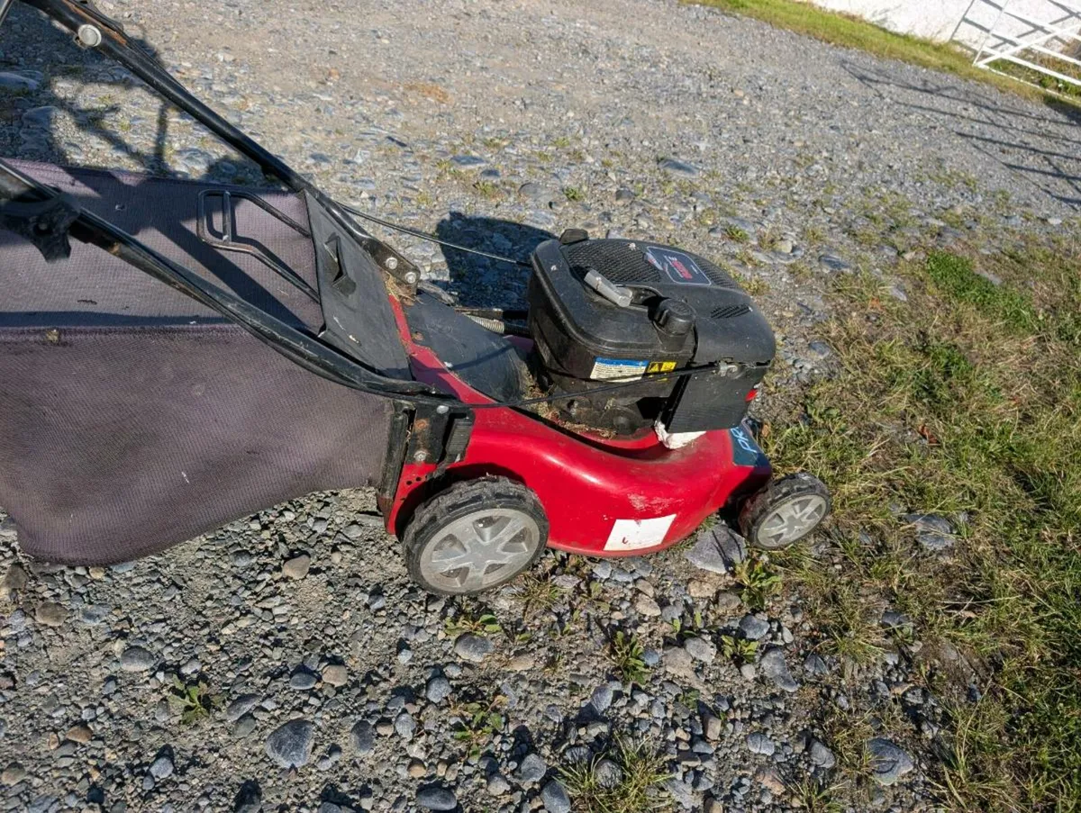 Lawnmower - Image 1