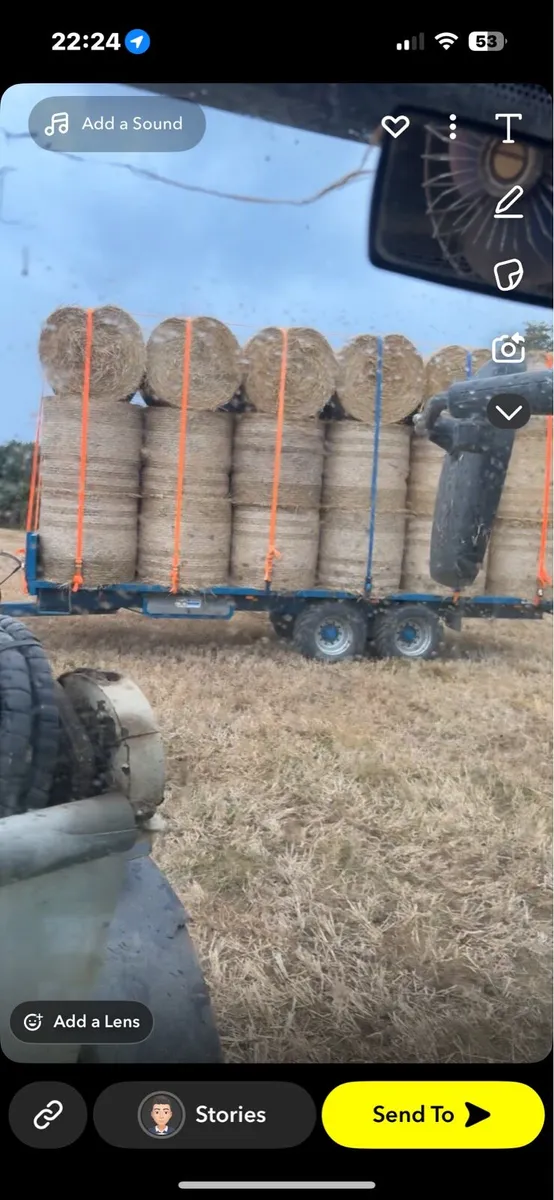 Straw - Image 2