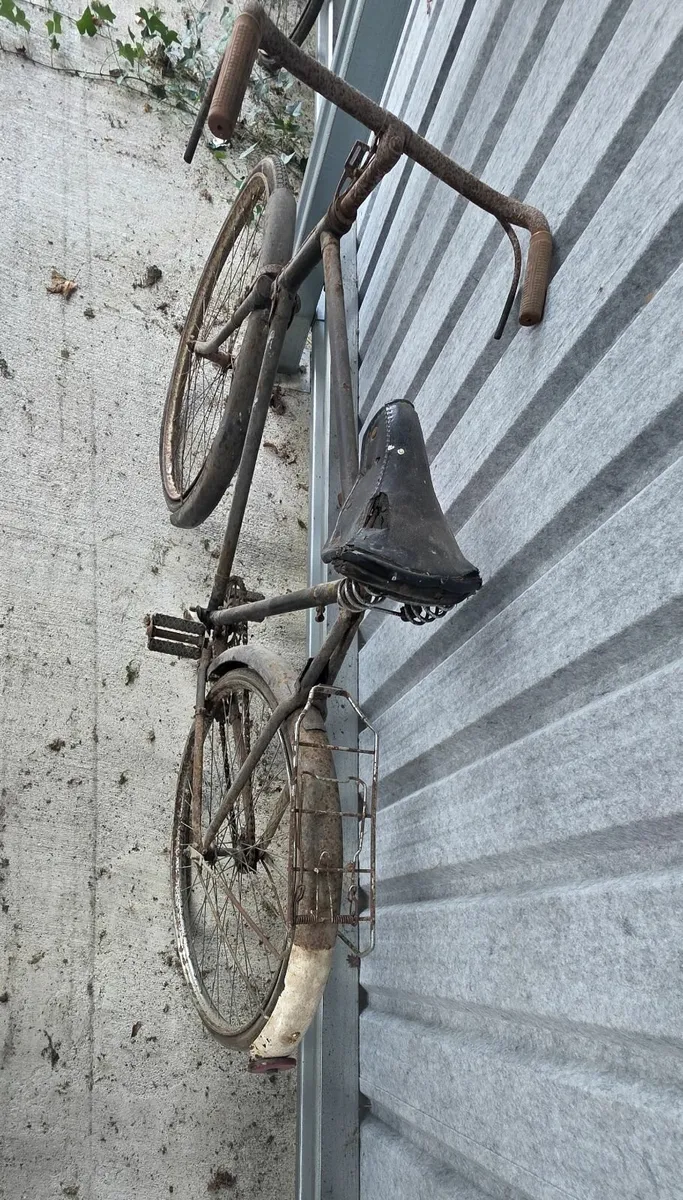 Raleigh Bikes - Image 2
